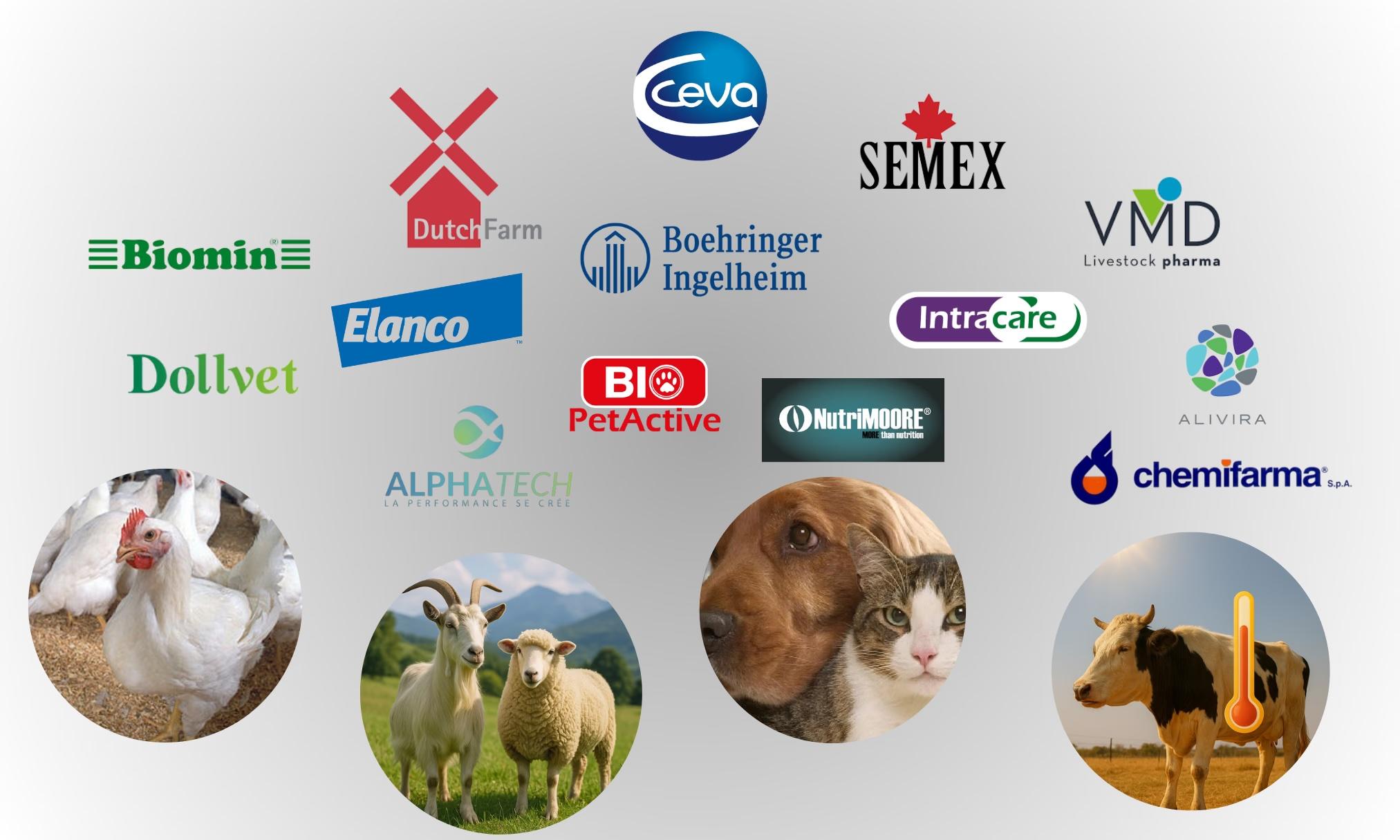 Serakıncı ürün vitrin görseli