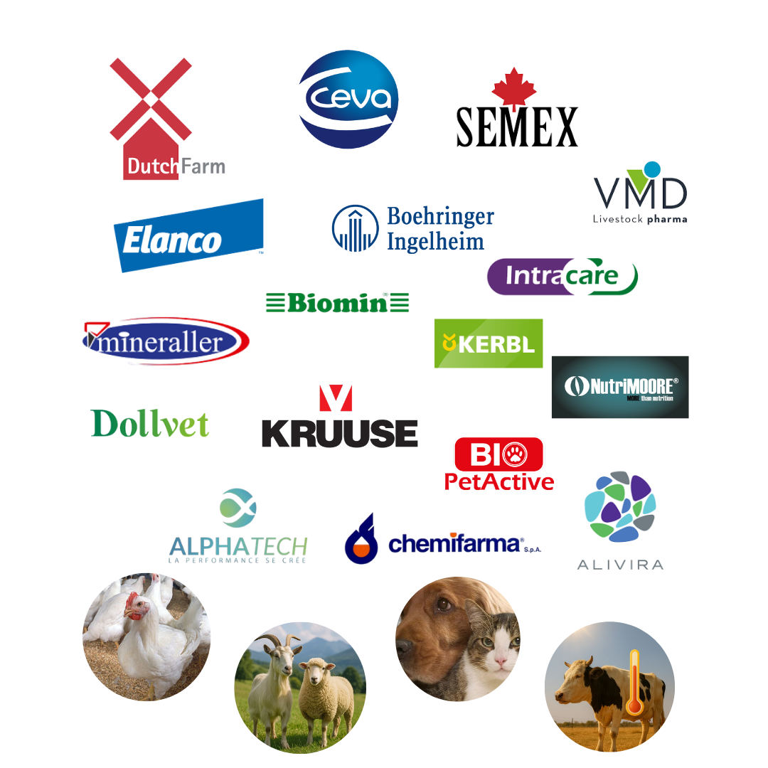 Hayvan sağlığı ana görsel