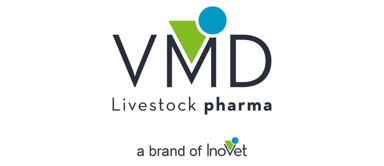 Vmd logosu