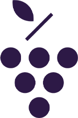 PREMIER CRU THE EYE CREAM 15ML ürün görseli