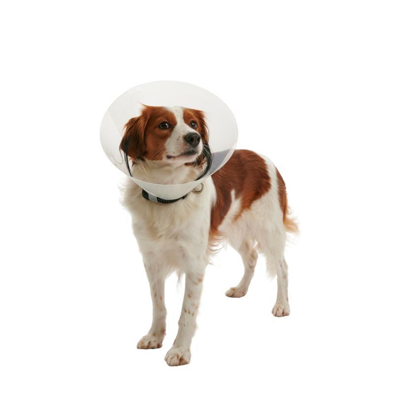 BUSTER CLİC COLLAR 20cm(YAKALIK KÖPEKLER İÇİN) ürün görseli