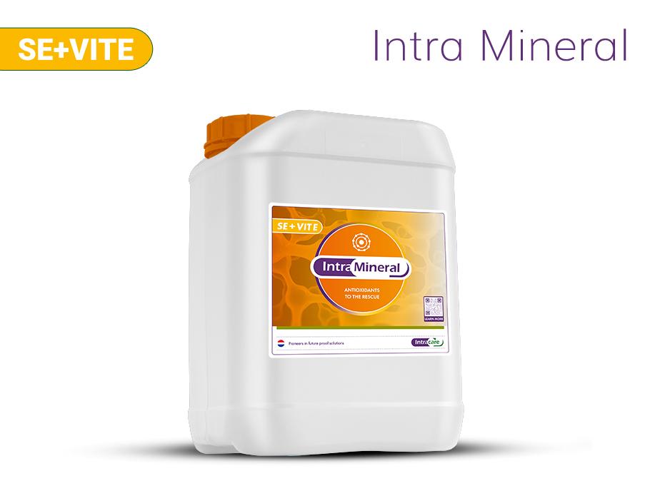 İNTRA MINERAL SELENIUM + VIT E 5LT ürün görseli
