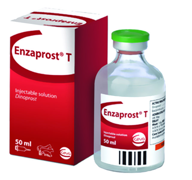 Изображение продукта ENZAPROST T 50ml