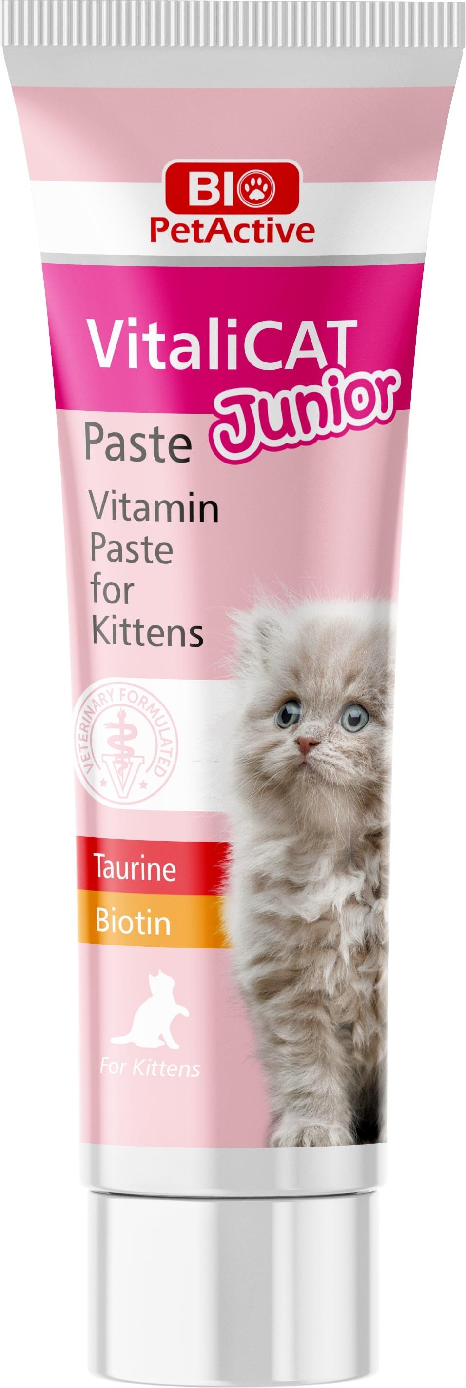 Vitalicat Junior 100ml ürün görseli