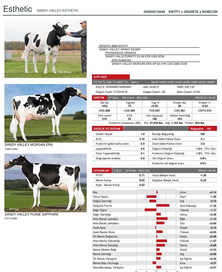 SUNİ TOHUM SANDY-VALLEY ESTHETIC-ET (SEXED) ürün görseli