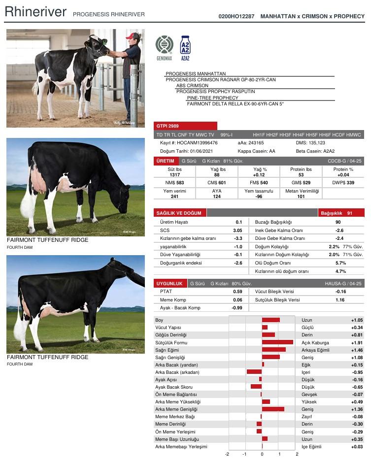 SUNİ TOHUM PROGENESIS RHINERIVER ürün görseli