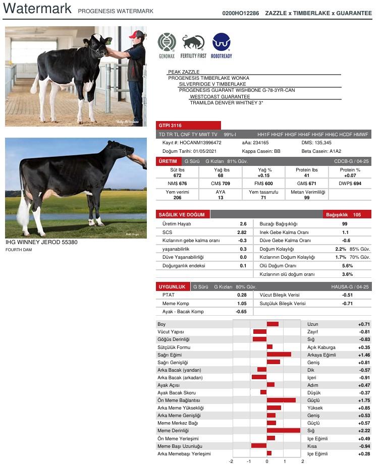 SUNİ TOHUM PROGENESIS WATERMARK ürün görseli