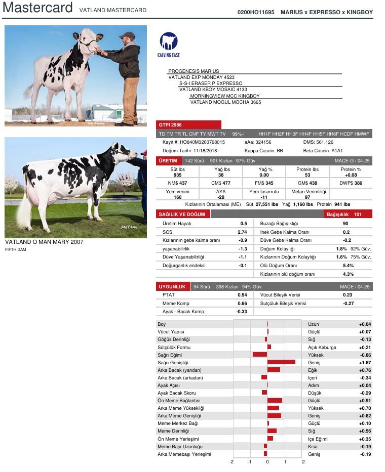 SUNİ TOHUM VATLAND MASTERCARD-ET ürün görseli