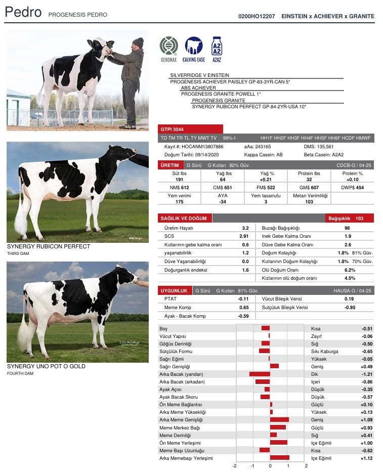 SUNİ TOHUM PROGENESIS PEDRO ürün görseli