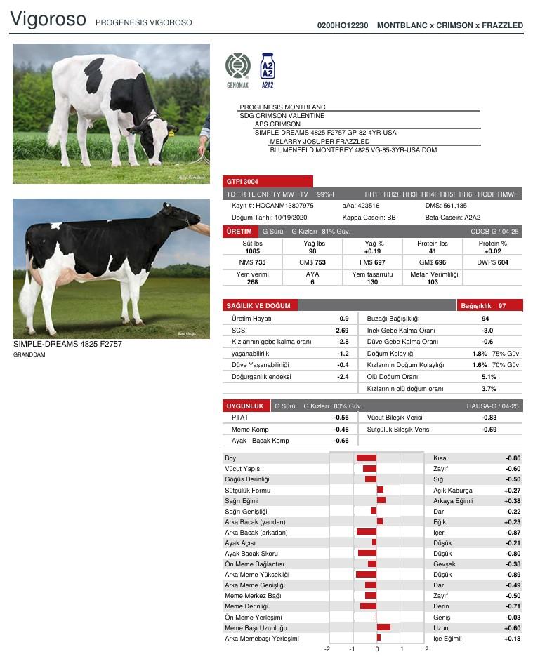 SUNİ TOHUM PROGENESIS VIGOROSO ürün görseli