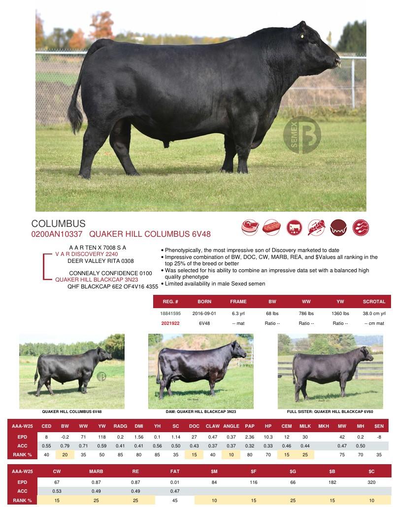 SUNİ TOHUM QUAKER HILL COLUMBUS 6V48 ürün görseli