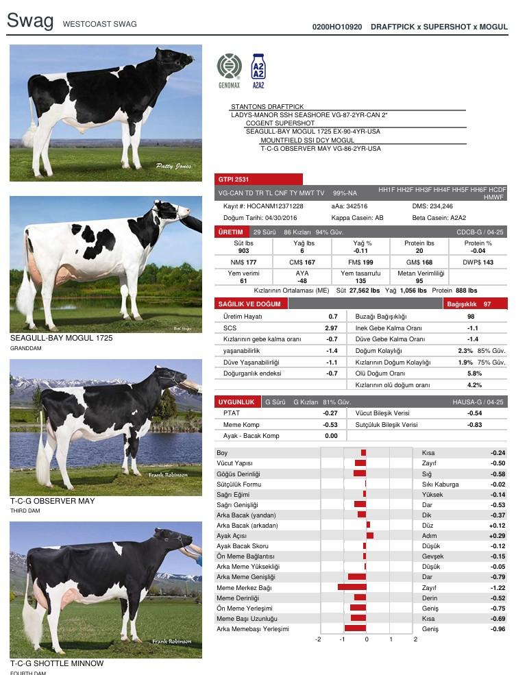 SUNİ TOHUM WESTCOAST SWAG ürün görseli