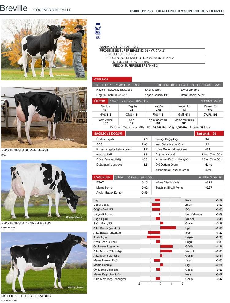 SUNİ TOHUM PROGENESIS BREVILLE ürün görseli