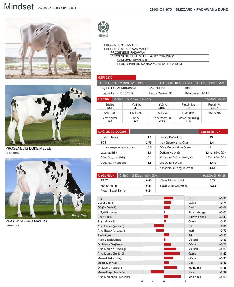 SUNİ TOHUM PROGENESIS MINDSET ürün görseli