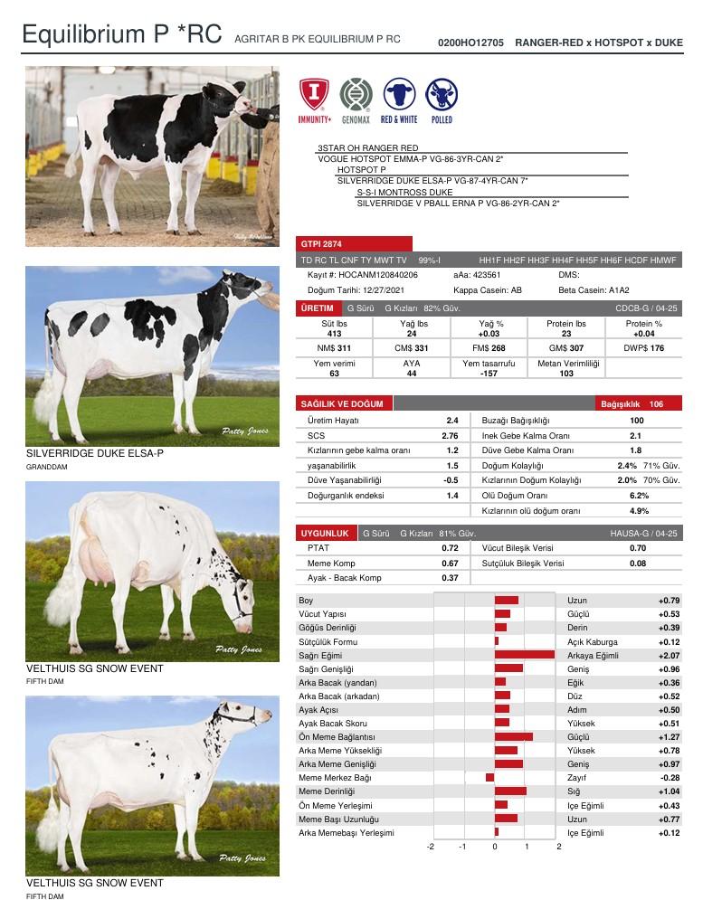 SUNİ TOHUM AGRITAR B PK EQUILIBRIUM P ürün görseli