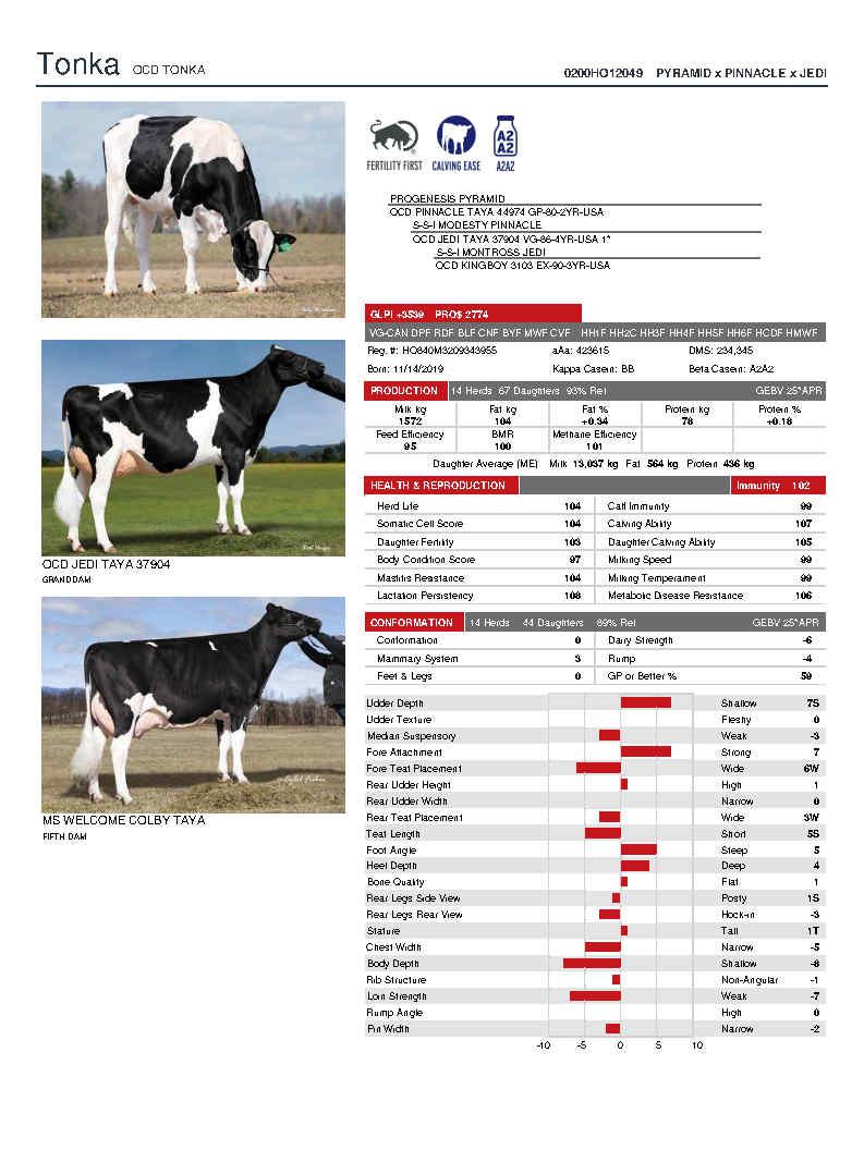 SUNİ TOHUM OCD TONKA-ET SEXED ürün görseli