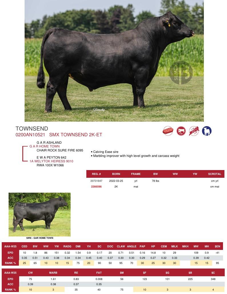 SUNİ TOHUM SMX TOWNSEND 2K-ET ürün görseli