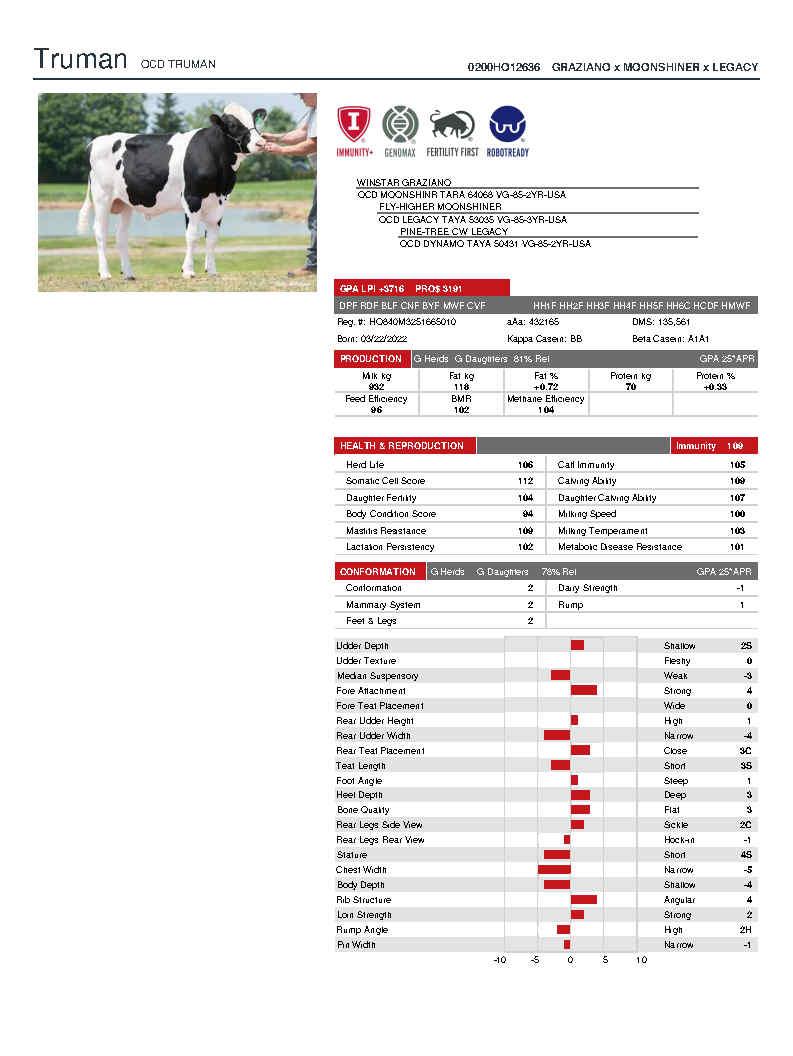 SUNİ TOHUM OCD TRUMAN-ET ürün görseli