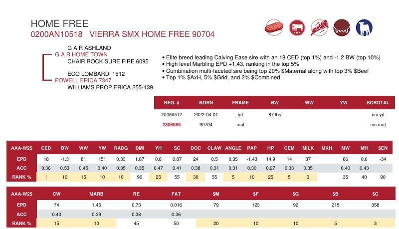 SUNİ TOHUM VIERRA SMX HOME FREE 90704 ürün görseli