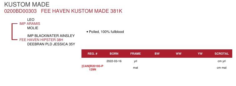 SUNİ TOHUM FEE HAVEN KUSTOM MADE 381K ürün görseli